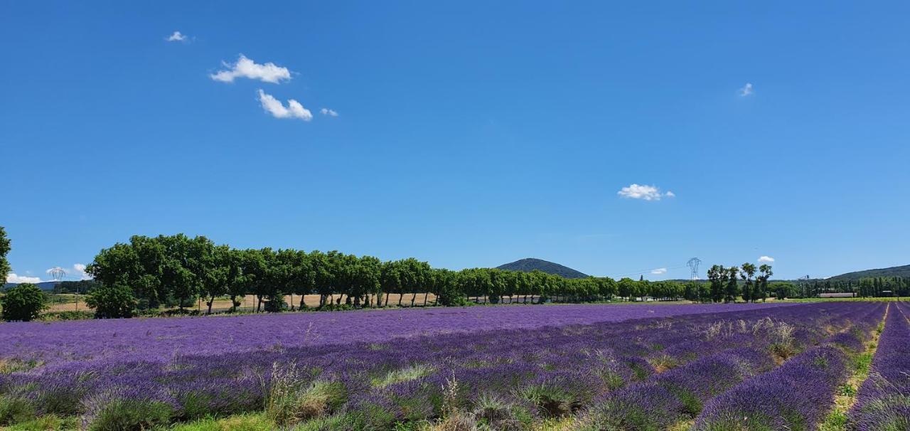 La Grange - Chez Gisi - Fuer Naturliebhaber, Abenteurer Und Geniesser Rocles  Buitenkant foto